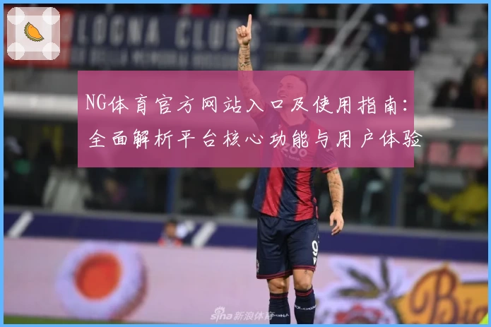 NG体育官方网站入口及使用指南：全面解析平台核心功能与用户体验